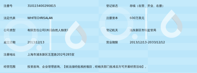專業引領，價值共創 愛珂投資咨詢的服務理念與實踐